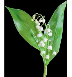 Brin de muguet