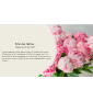 La précommande Pivoines